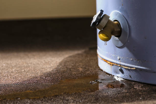 Best Sewage cleanup and water damage restoration  in Woodlawn, VA