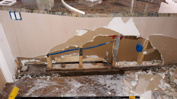 Best Flood damage cleanup  in Woodlawn, VA