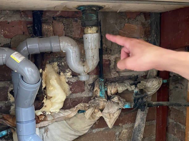 Best Ceiling water damage repair  in Woodlawn, VA